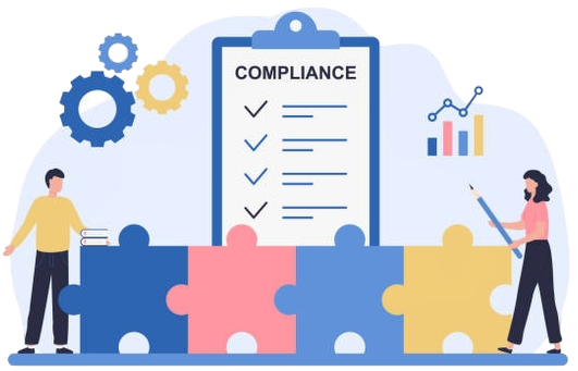 Compliance icon